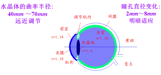 光學系統
